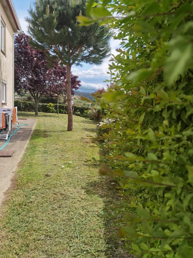 Fernandes House Apartment Paredes de Coura Exterior photo
